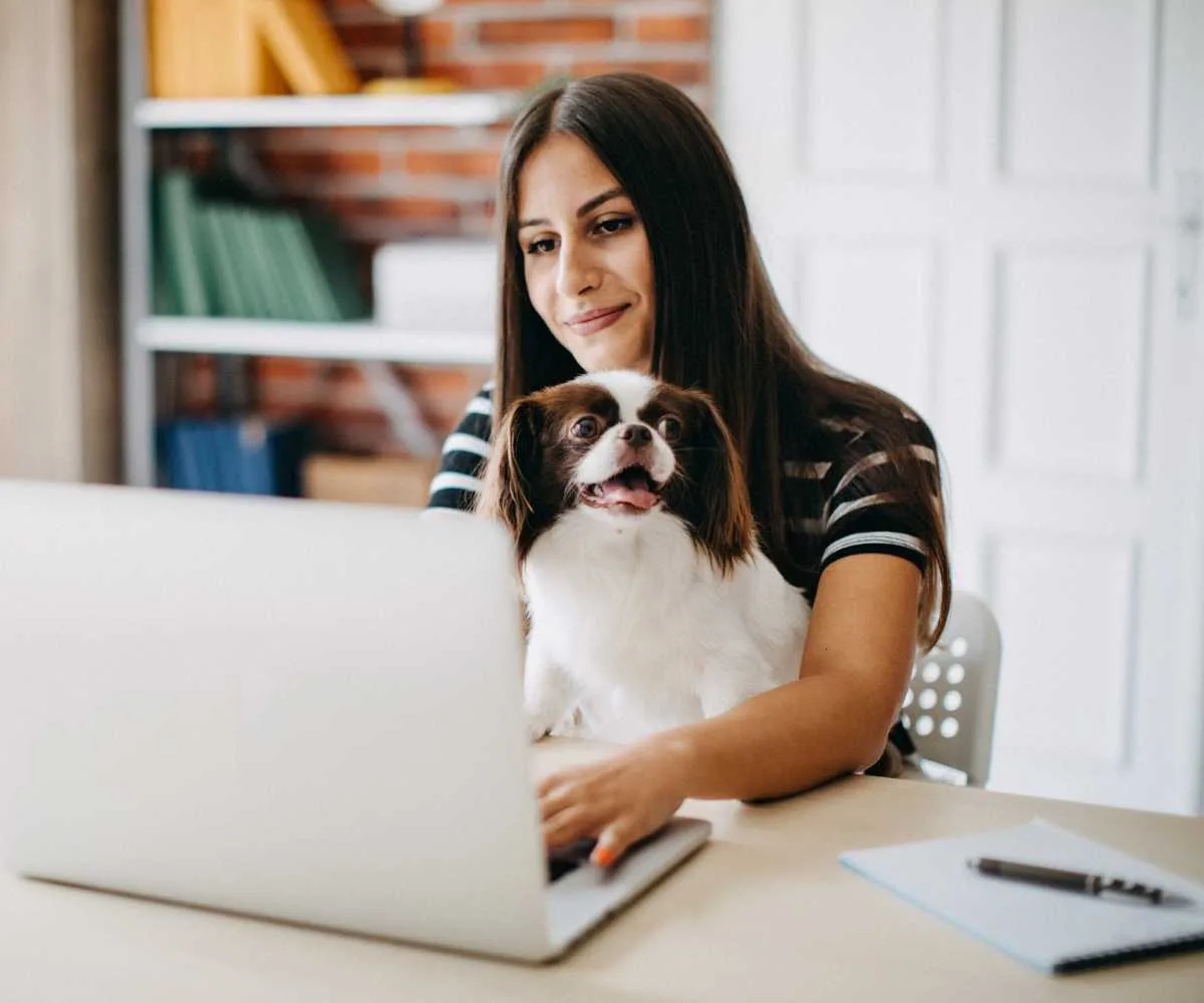 Best Remote Job Boards: 6 Sites to Check First
